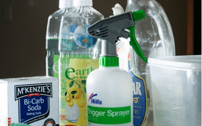 Put Down The Poison: Natural And Alternative Cleaning