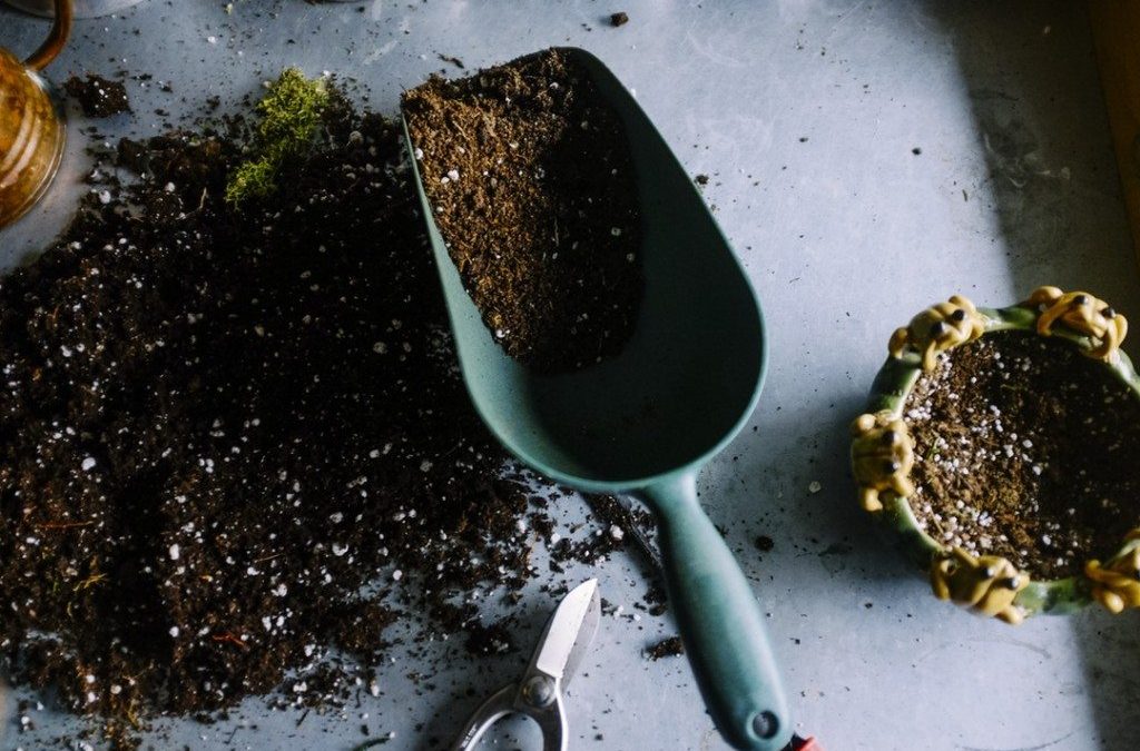 How to Make the Perfect Compost Pile