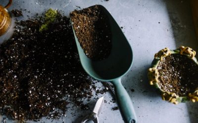 How to Make the Perfect Compost Pile