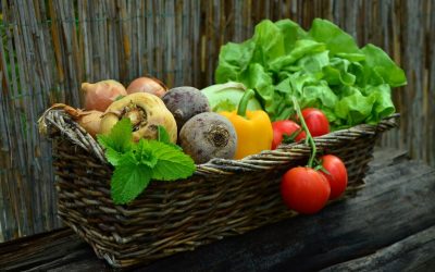 How to Start a Vegetable Garden