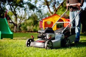 Six Simple Spring Lawn Care Tips