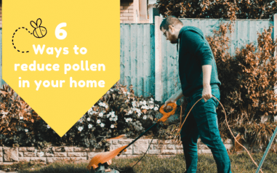 6 Ways to Reduce Pollen in Your Home