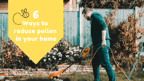 6 Ways to Reduce Pollen in Your Home