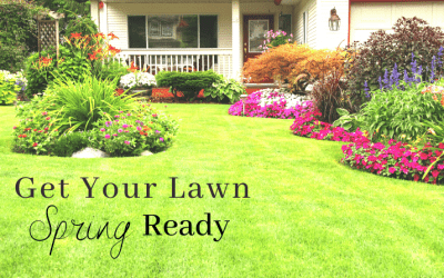 Get Your Lawn Spring Ready