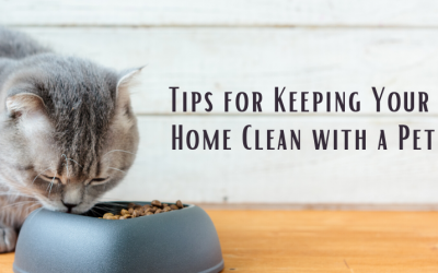 Tips for Keeping Your Home Clean with a Pet