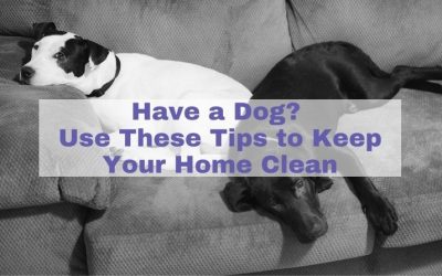 Tips to Keep Your Home Clean with a Dog