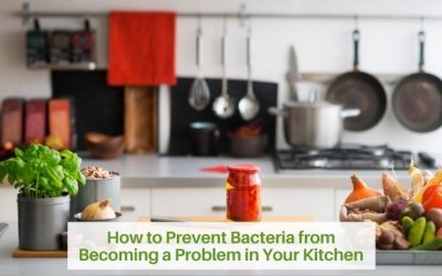 How to Prevent Bacteria from Becoming a Problem in Your Kitchen
