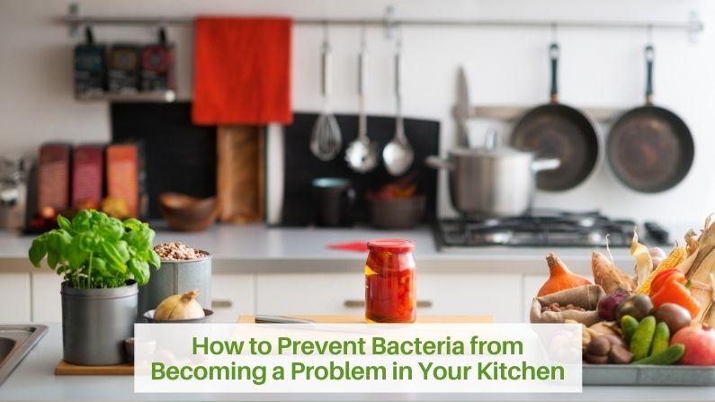 How to Prevent Bacteria from Becoming a Problem in Your Kitchen