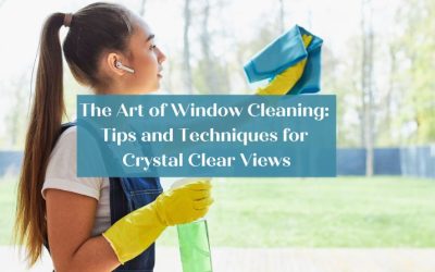 The Art of Window Cleaning: Tips and Techniques for Crystal Clear Views