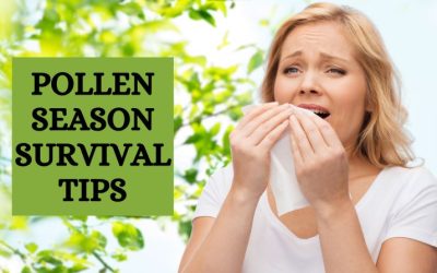 Pollen Season Survival Tips