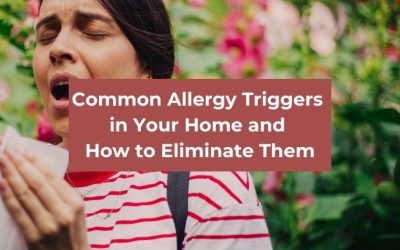 Common Allergy Triggers in Your Home and How to Eliminate Them