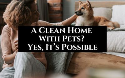 A Clean Home With Pets? Yes, It’s Possible