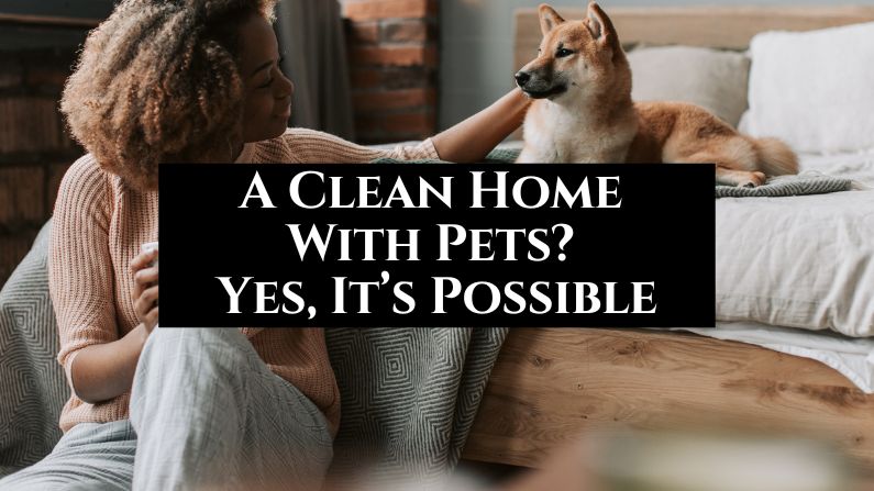 A Clean Home With Pets? Yes, It’s Possible